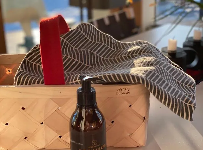 Riverside Aalto Borealis בית נופש Keminmaa