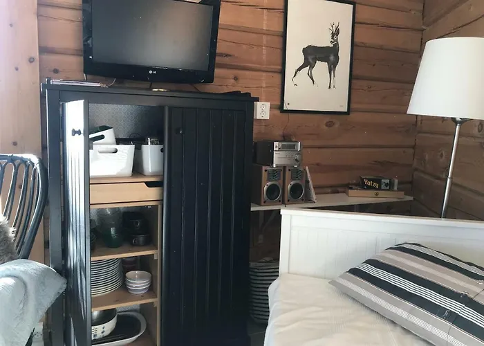 度假居 Riverside Aalto Borealis