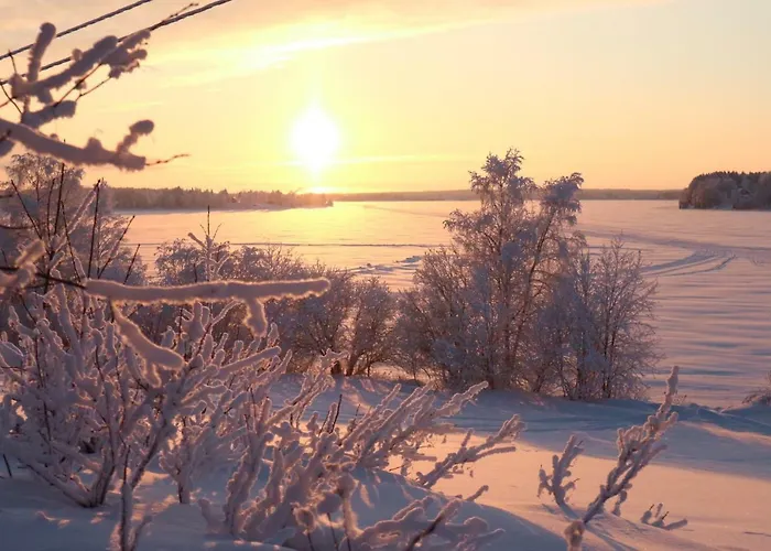 Riverside Aalto Borealis 度假居